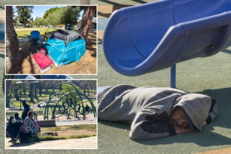 Exclusive | Shocking scenes from LA’s homeless apocalypse — as filthy camps overrun kids’ playgrounds