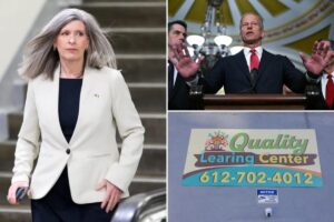 Exclusive | Senate Republicans unveil bundle of anti-fraud bills to save 0B