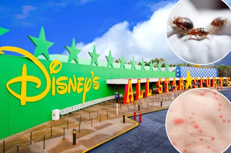 Disney tourist sues park for ,000 due to ‘pain and suffering’ of alleged bed bug infestation