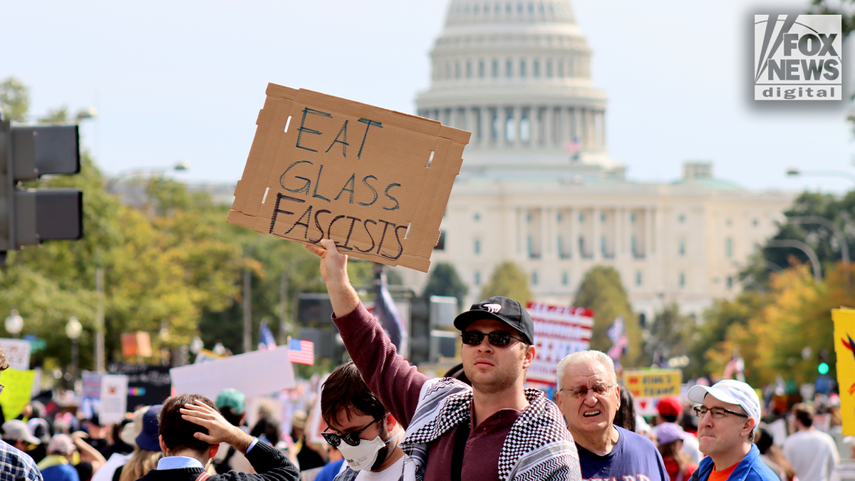 no kings protester capitol building