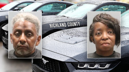 South Carolina pastor, wife arrested after alleged sexual, physical abuse of foster children South Carolina pastor, wife arrested after alleged sexual, physical abuse of foster children