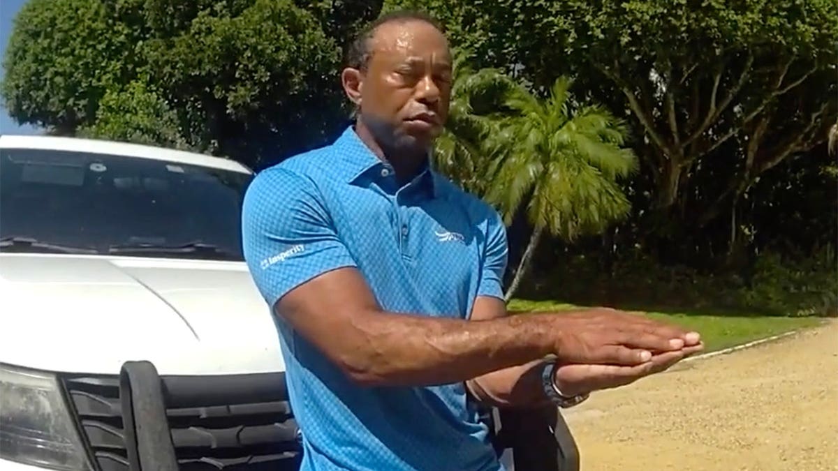 Tiger Wood sobriety test