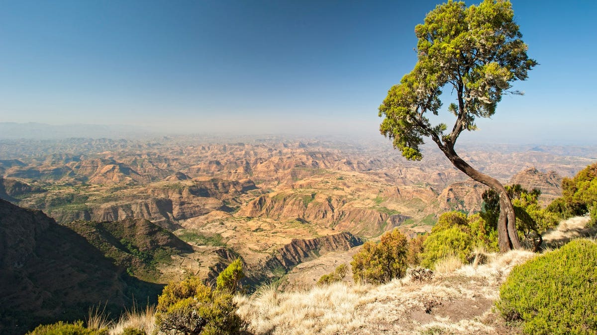 Simien Mountains in Northern Ethiopia.
