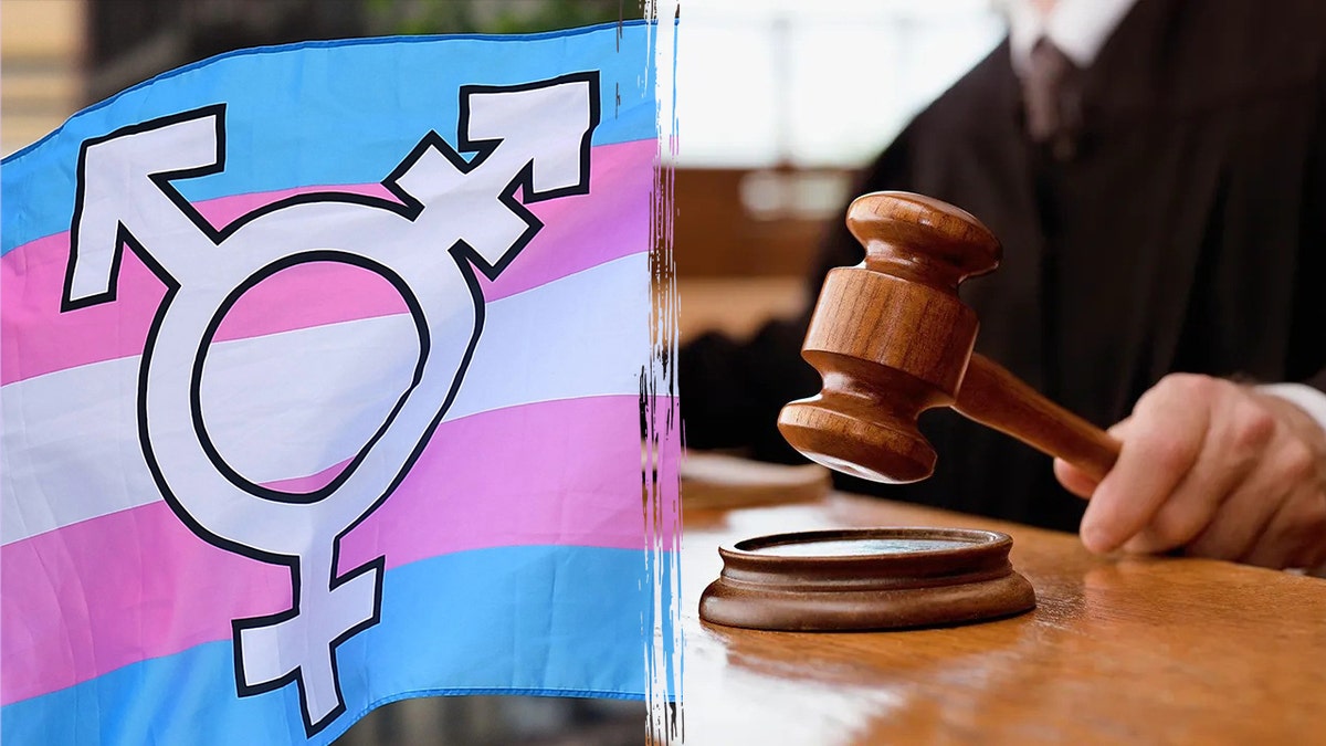 A transgender flag waving and a judge using a gavel