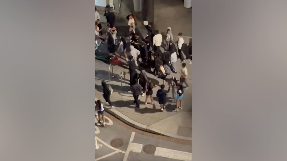 A large group of teenagers fighting in the street in Washington, D.C.