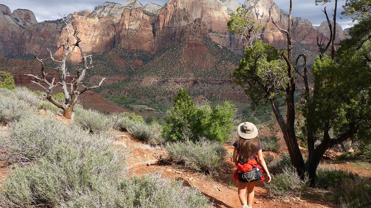A woman hiking along the Watchman Trail overlooking West Temple and Towers of the Virgin rock formations in Zion Canyon