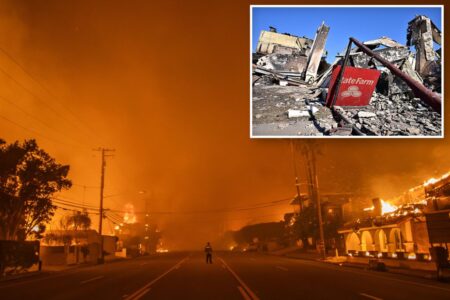 Exclusive | DOJ says insurers can’t hide behind legal shield in California wildfire coverage case