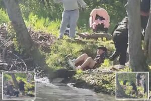Beaver that attacked 8-year-old boy at New Jersey lake in wild video has rabies