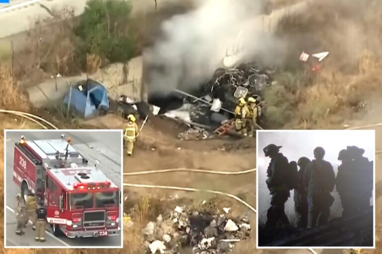 LA commuter misery as northbound  110 shuts down ‘indefinitely’ after homeless camp fire