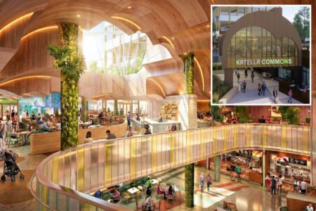 Anaheim entertainment district overhaul announces epic new foodhall with dozens of kitchens and bars