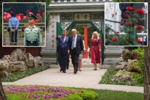 Xi vows to send seeds after Trump admires his ‘most beautiful roses’