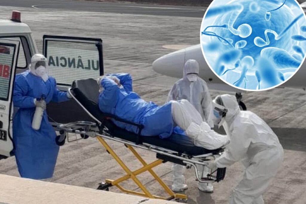 Contagious hantavirus strain may stay in human sperm for six years — and turn into an STI