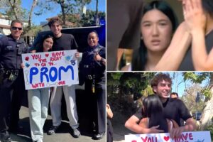 Police in Beverly Hills arrest teen but the reason will leave you smiling