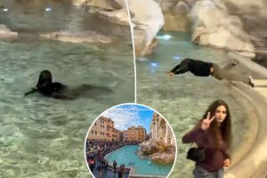 New Zealand tourist dives headfirst into the Trevi Fountain — and tourists are pissed: ‘It’s disrespectful’