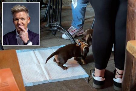 Gordon Ramsay responds to ‘overexaggerated’ reaction after alleged dog-inside-restaurant drama
