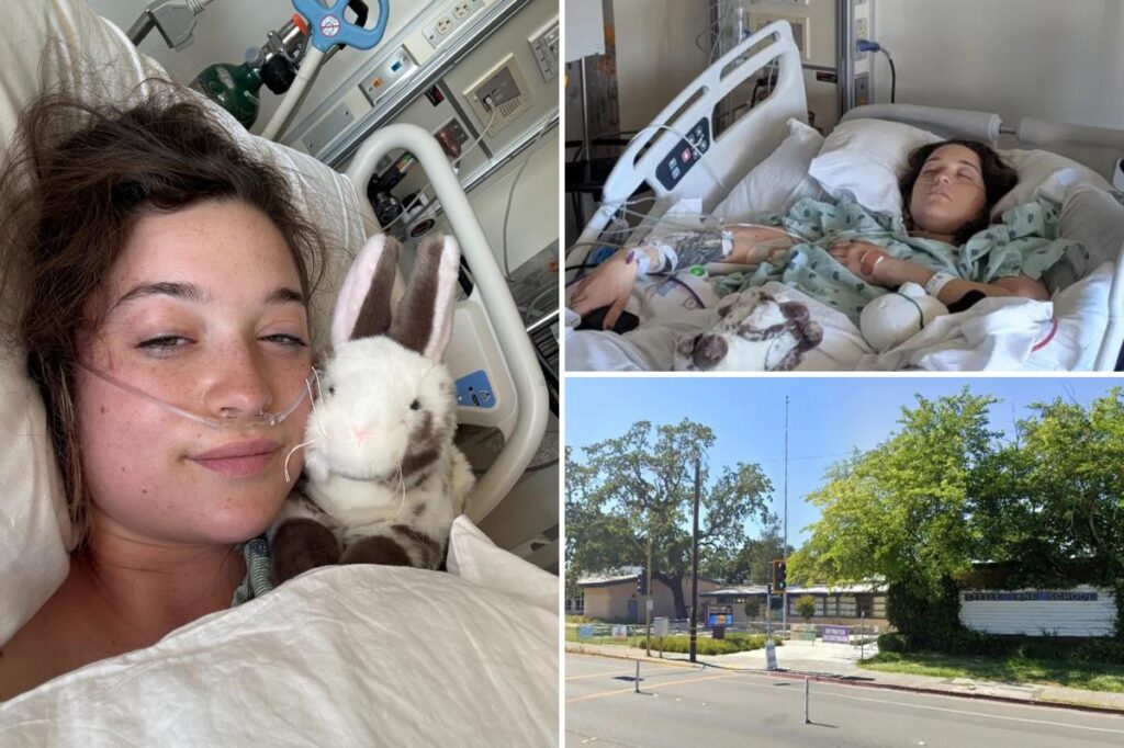 22-year-old knitter paralyzed in freak tree limb accident