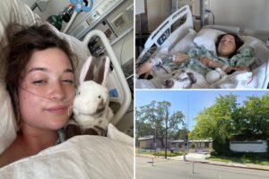 22-year-old knitter paralyzed in freak tree limb accident