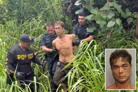 Murder suspect wanted over 3 killings arrested after intense search of Hawaii’s Big Island Murder suspect wanted over 3 killings arrested after intense search of Hawaii’s Big Island