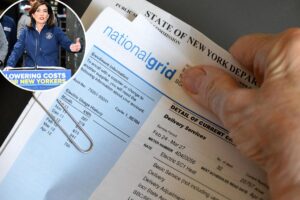 New Yorkers could get 0 check in state’s B energy rebate — find out if you’re eligible