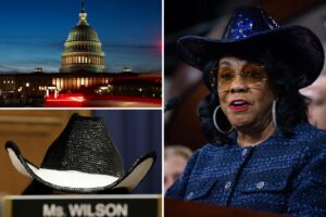 Cowboy hat wearing Rep. Frederica Wilson, 83, will retire from Congress