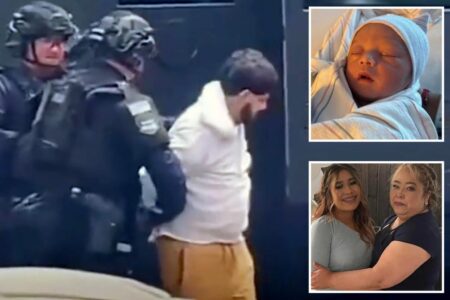 Exclusive | California sanctuary law blocked federal deportation effort for illegal migrant arrested in grisly triple homicide