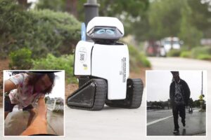 City robots doused in beer and violently attacked as police hunt suspects