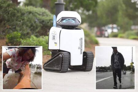 City robots doused in beer and violently attacked as police hunt suspects