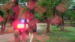 Texas Cessna plane crash kills 5; NTSB investigating