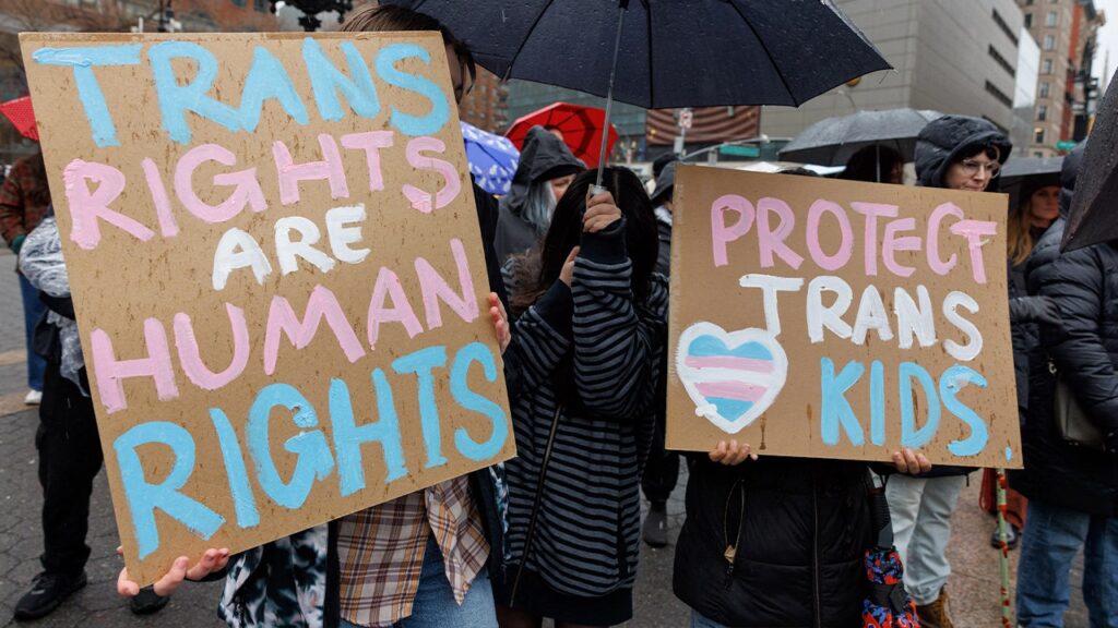 Democrat Tina Shah calls transgender healthcare for children a ‘no-brainer’ in competitive NJ House race