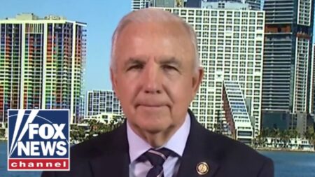 ‘MISERABLE’: Lawmaker issues warning on indoctrination