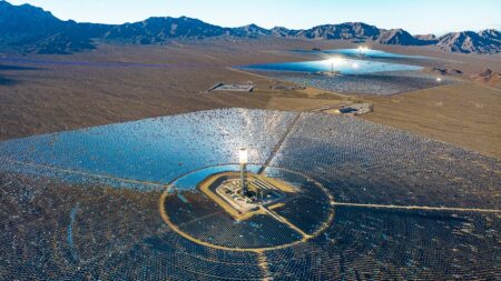 Obama-era ‘clean energy’ solar power plant still uses fossil fuels — and kills thousands of birds annually
