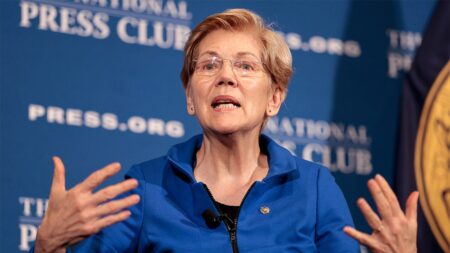 Warren pushed ‘free and easy’ IRS filing system, but docs reveal what she used instead