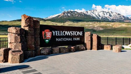 Bear attack in Yellowstone National Park leaves 2 hikers injured