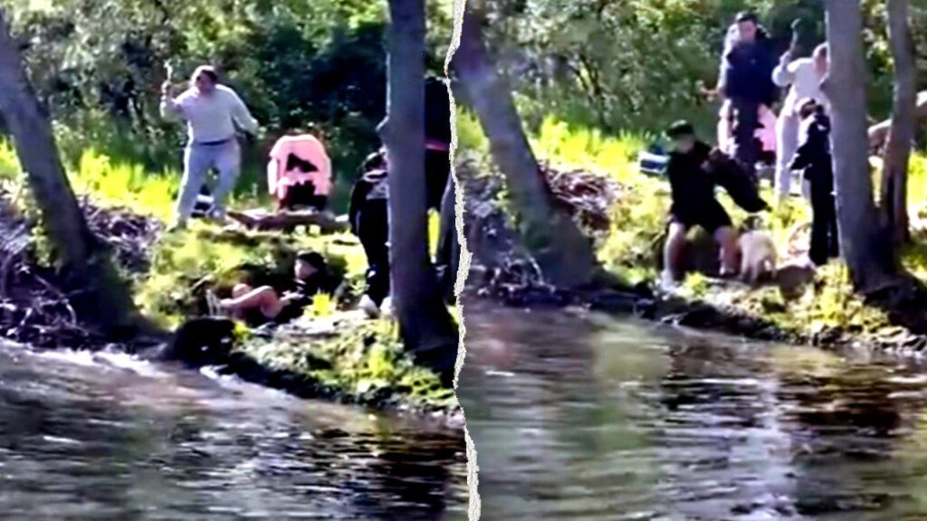 Rabid beaver attacks boy fishing at New Jersey lake, prompting health officials to warn residents