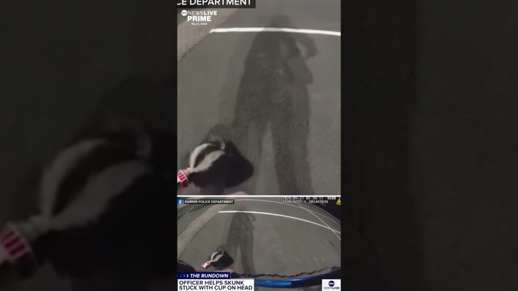 A police officer helped out a skunk with a paper cup stuck on its head