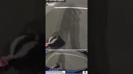 A police officer helped out a skunk with a paper cup stuck on its head