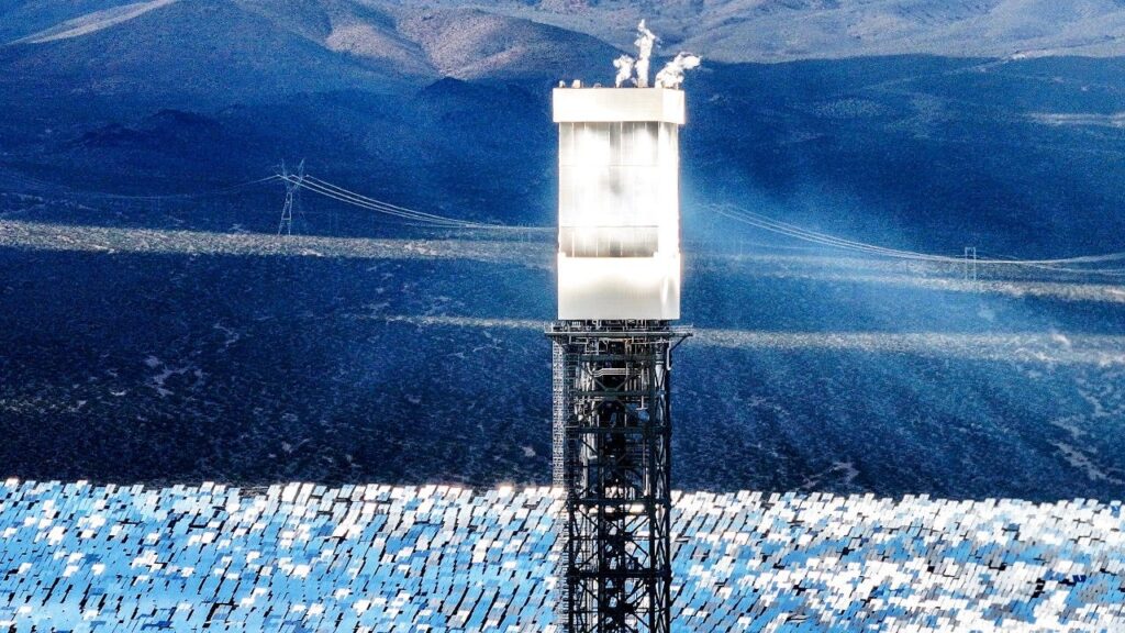 Regulators allow Obama-era solar plant to kill thousands of birds annually, investigation finds
