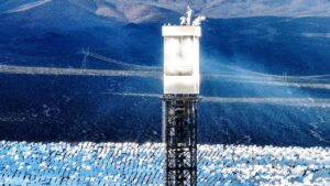 Regulators allow Obama-era solar plant to kill thousands of birds annually, investigation finds