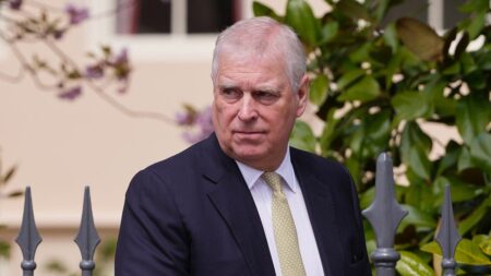 Man accused of threatening former Prince Andrew near Sandringham home pleads not guilty in court