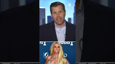 Britney Spears pleads guilty in DUI case
