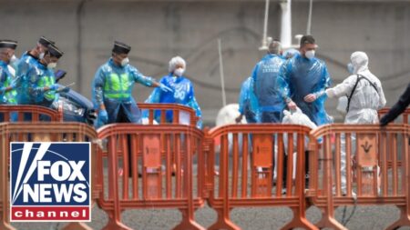 Top WHO official warns of ‘high-risk’ contacts on hantavirus cruise ship