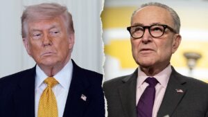 Trump accuses Schumer of trying to ‘interfere in our elections’ with latest strategy