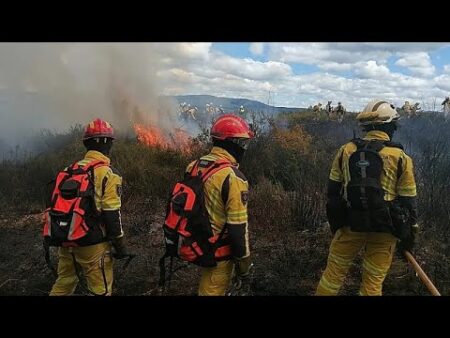 Portugal tests fire response in European exercise with 700 operatives from six countries