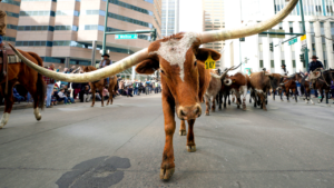 Dallas mayor blasts NYC for ‘punishing success’ as he pitches ‘Y’all Street’ to fleeing billionaires