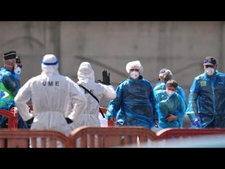 Are hantavirus cases spreading? French woman in critical condition in hospital