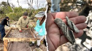 Ancient artifacts found beneath Cape Canaveral Space Force Station as one mystery still stumps researchers