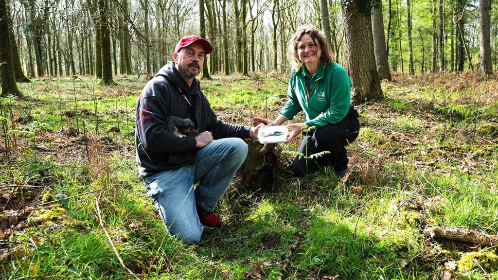 Dog walker’s routine stroll turns into ‘incredible’ 3,000-year-old discovery in picturesque forest Dog walker’s routine stroll turns into ‘incredible’ 3,000-year-old discovery in picturesque forest