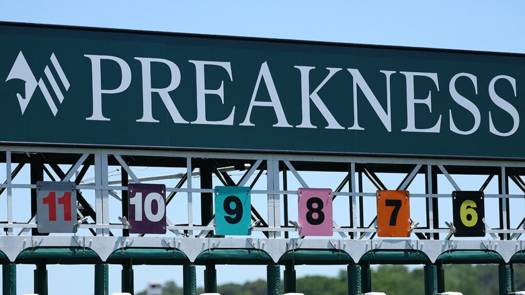 Napoleon Solo wins 151st Preakness Stakes