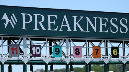 Napoleon Solo wins 151st Preakness Stakes