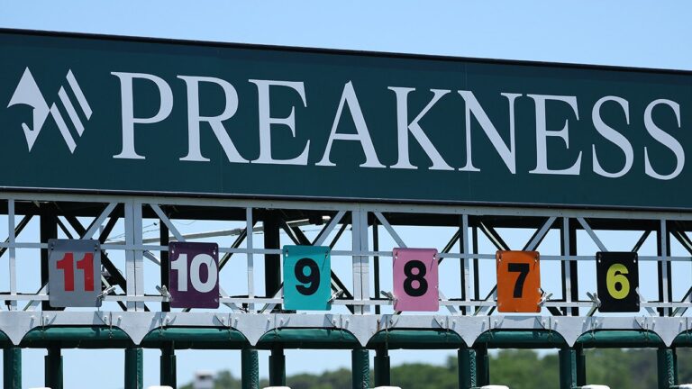 Napoleon Solo wins 151st Preakness Stakes